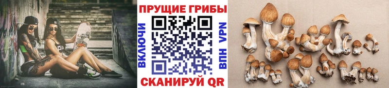 Псилоцибиновые грибы ЛСД  Сарапул 